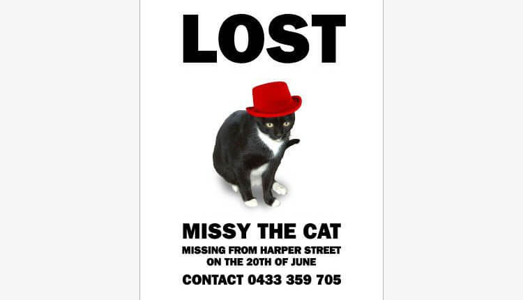 Por qué no pedir favores al Diseñador Gráfico