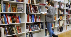 Cómo sacar provecho de la Biblioteca de Medios de wordpress