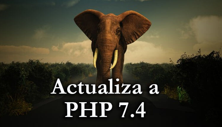 actualizar a PHP 7.4