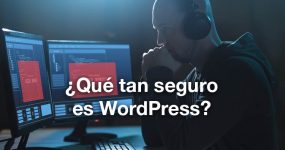 ¿Qué tan seguro es WordPress?