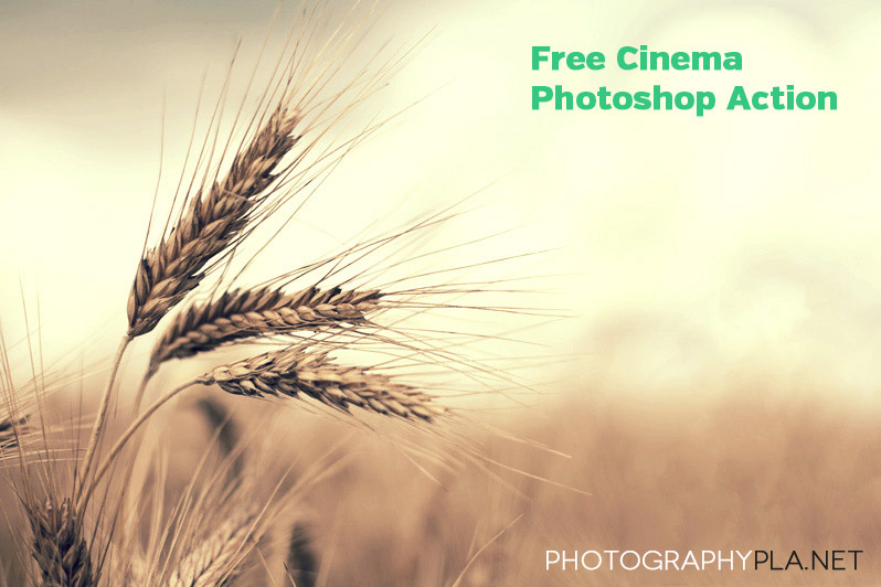 +50 Acciones de Photoshop Gratis para optimizar tus Fotografías +50 Acciones de Photoshop Gratis para optimizar tus Fotografías