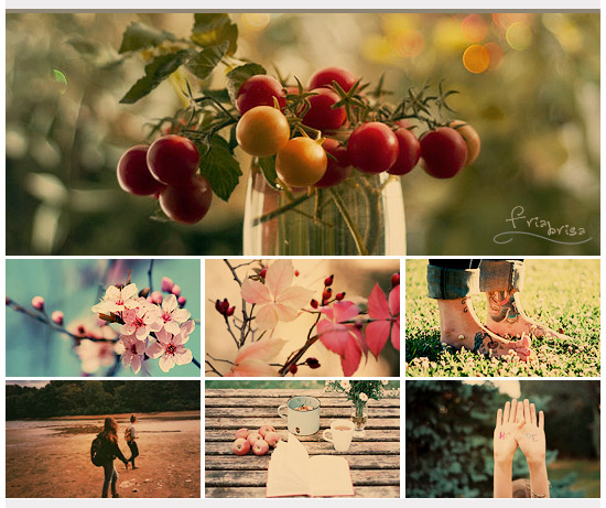 +50 Acciones de Photoshop Gratis para optimizar tus Fotografías +50 Acciones de Photoshop Gratis para optimizar tus Fotografías