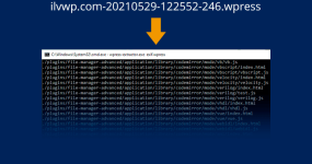 Descomprimir archivo con extensión .wpress