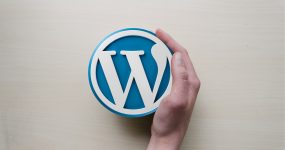 logotipo de wordpress sostenido por una mano